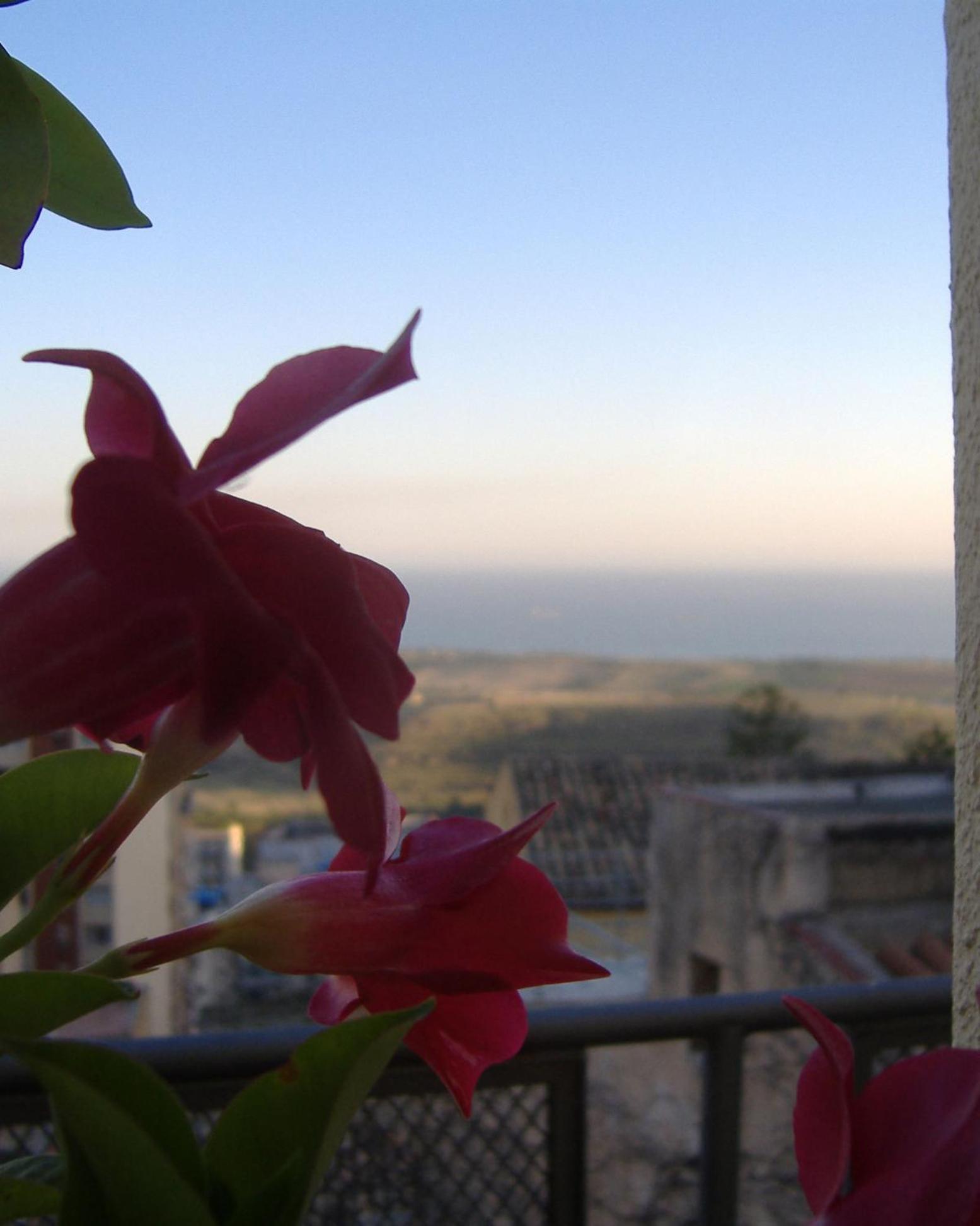 I Tetti Di Girgenti Bed & Breakfast Agrigento Dış mekan fotoğraf